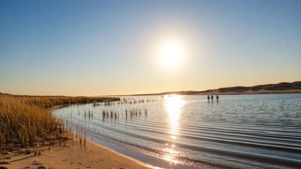 Guide complet pour exceller dans la pêche à pied à Saint-Hilaire-de-Riez